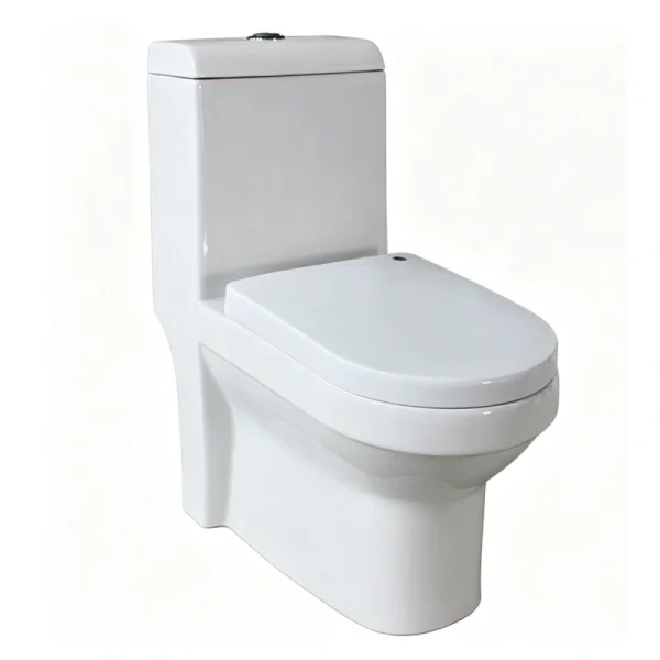 Bulk One Piece Toilet for Modern Bathroom Projects