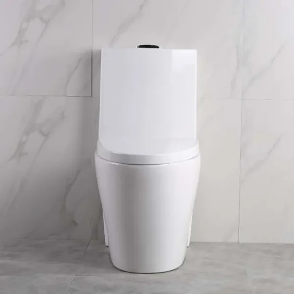 Wholesale Modern One Piece Toilet1