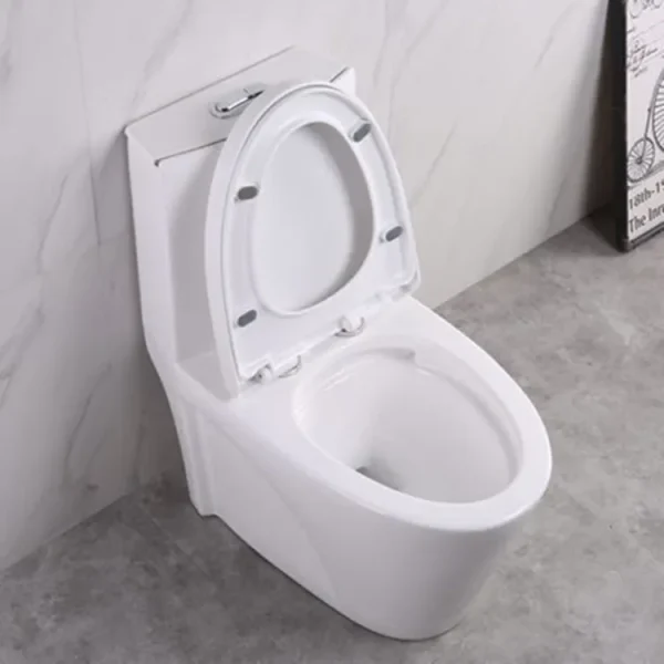 Wholesale Modern One Piece Toilet4