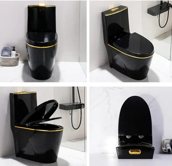 Wholesale Modern One Piece Toilet6