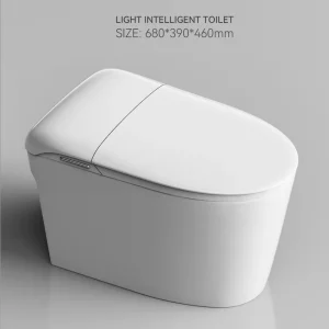 Wholesale Modern Smart Toilet Integrated Bidet Function2