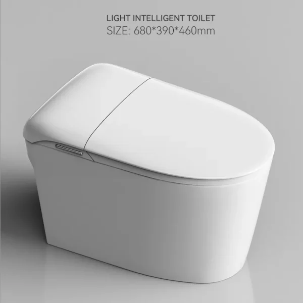 Wholesale Modern Smart Toilet Integrated Bidet Function2